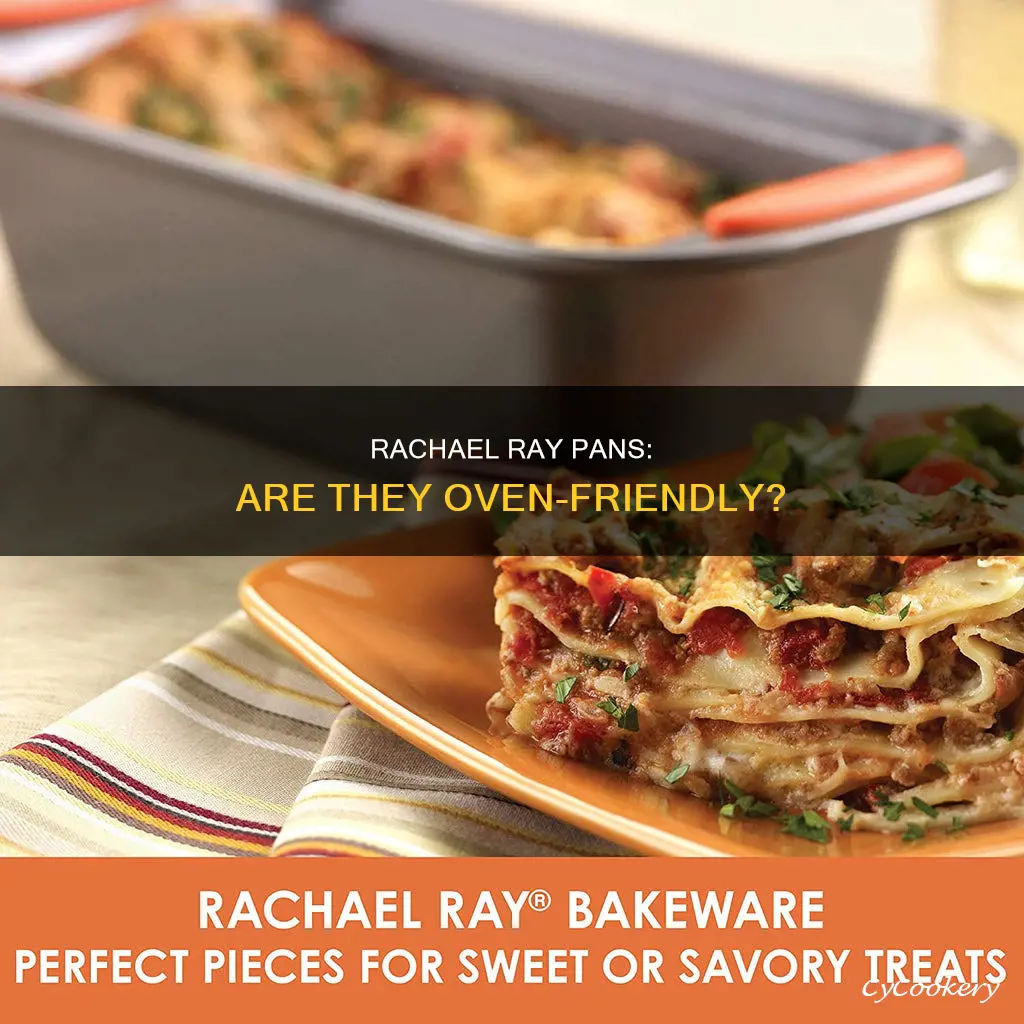 can I put rachael ray pans in oven