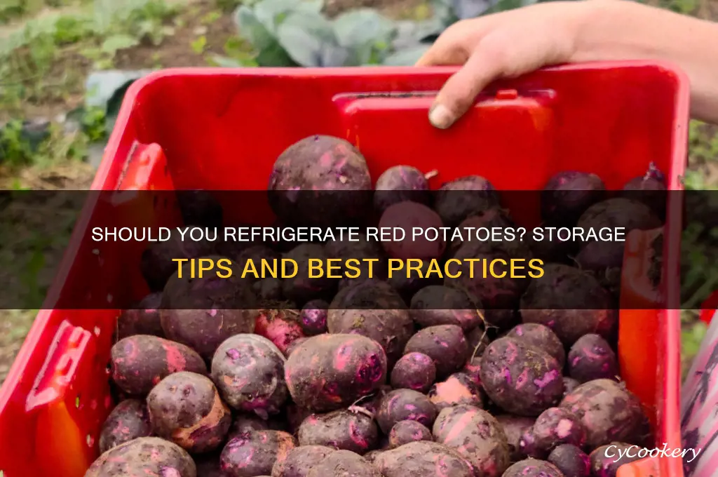 can i put red potatoes in refrigerator