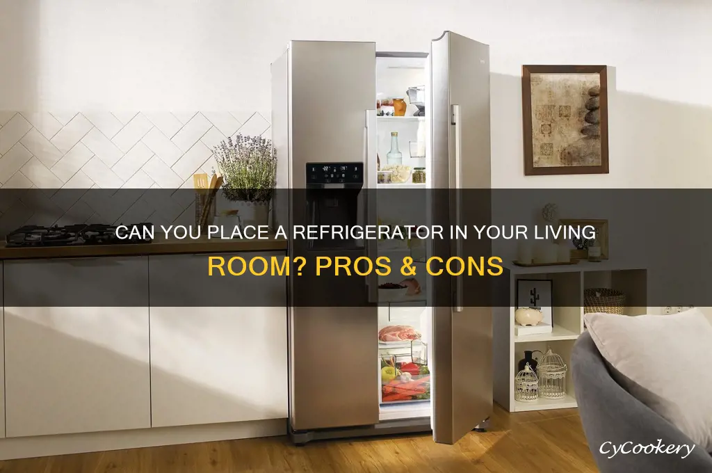 can i put refrigerator in living room