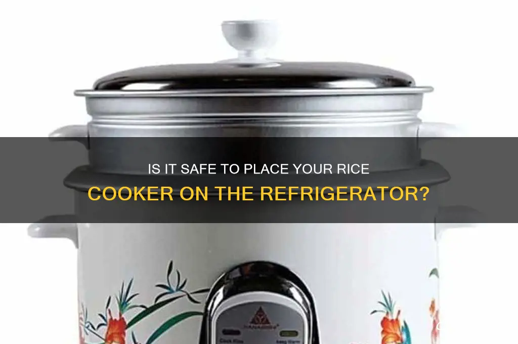 can i put rice cooker on top of refrigerator