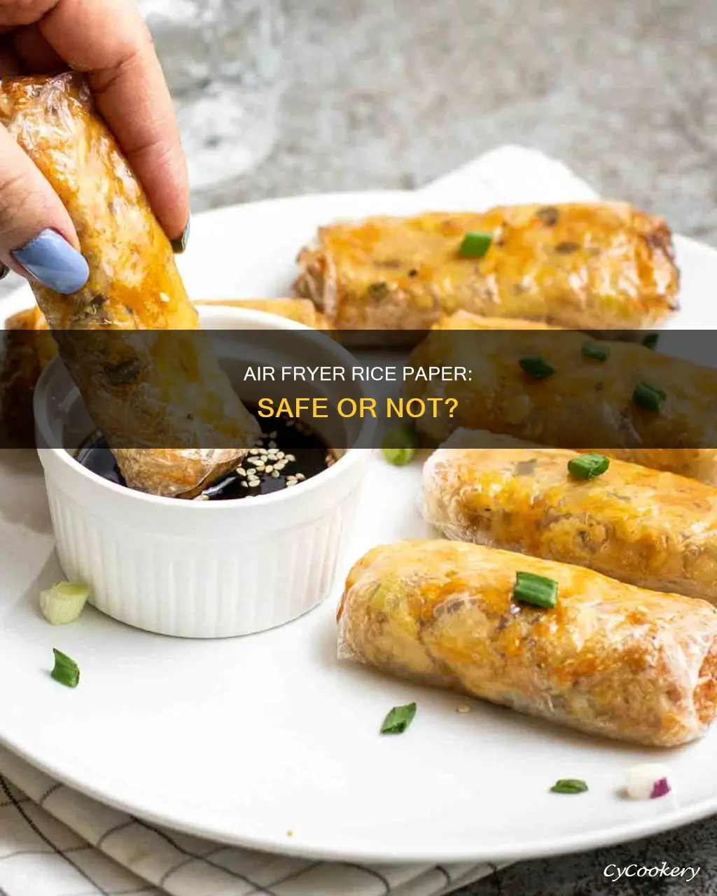 can i put rice paper in the air fryer