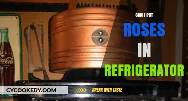Chilling Roses: Can You Safely Store Roses in the Refrigerator?