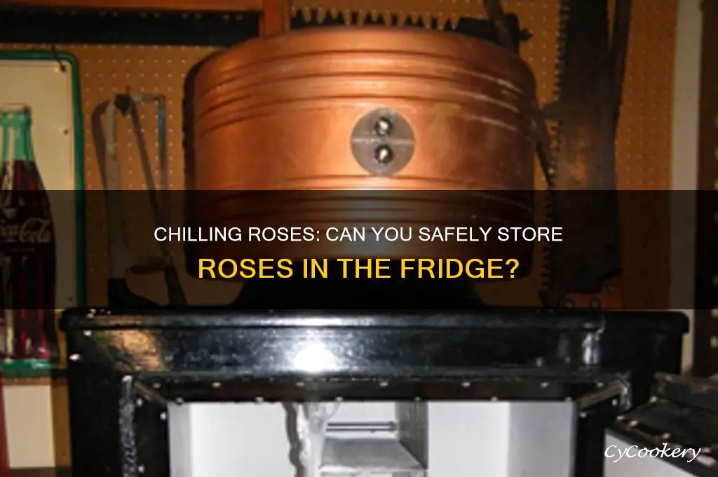 can i put roses in the refrigerator
