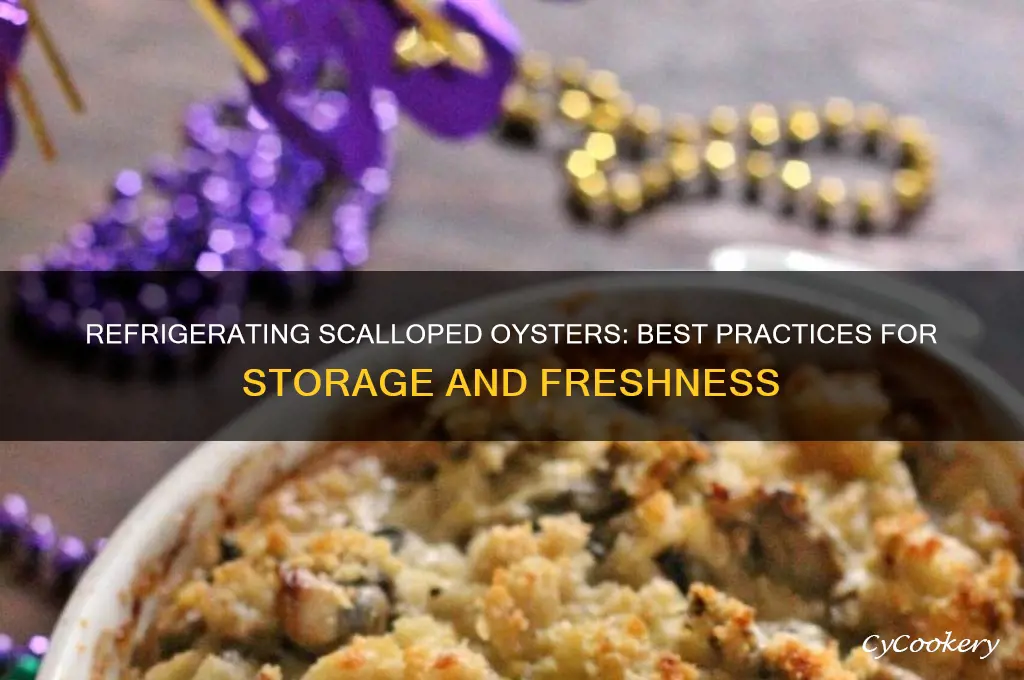 can i put scalloped oysters in the refrigerator