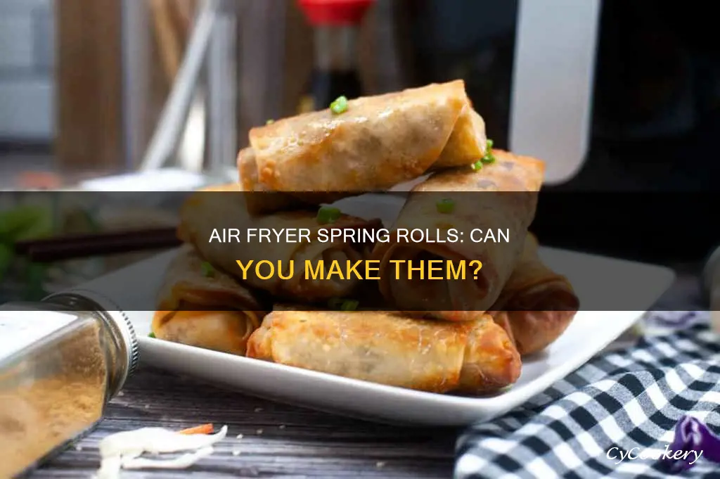 can i put spring rolls in the air fryer