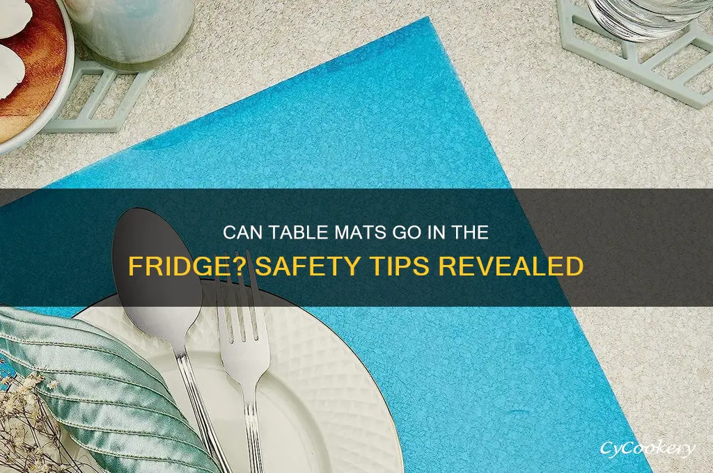can i put table mat in refrigerator