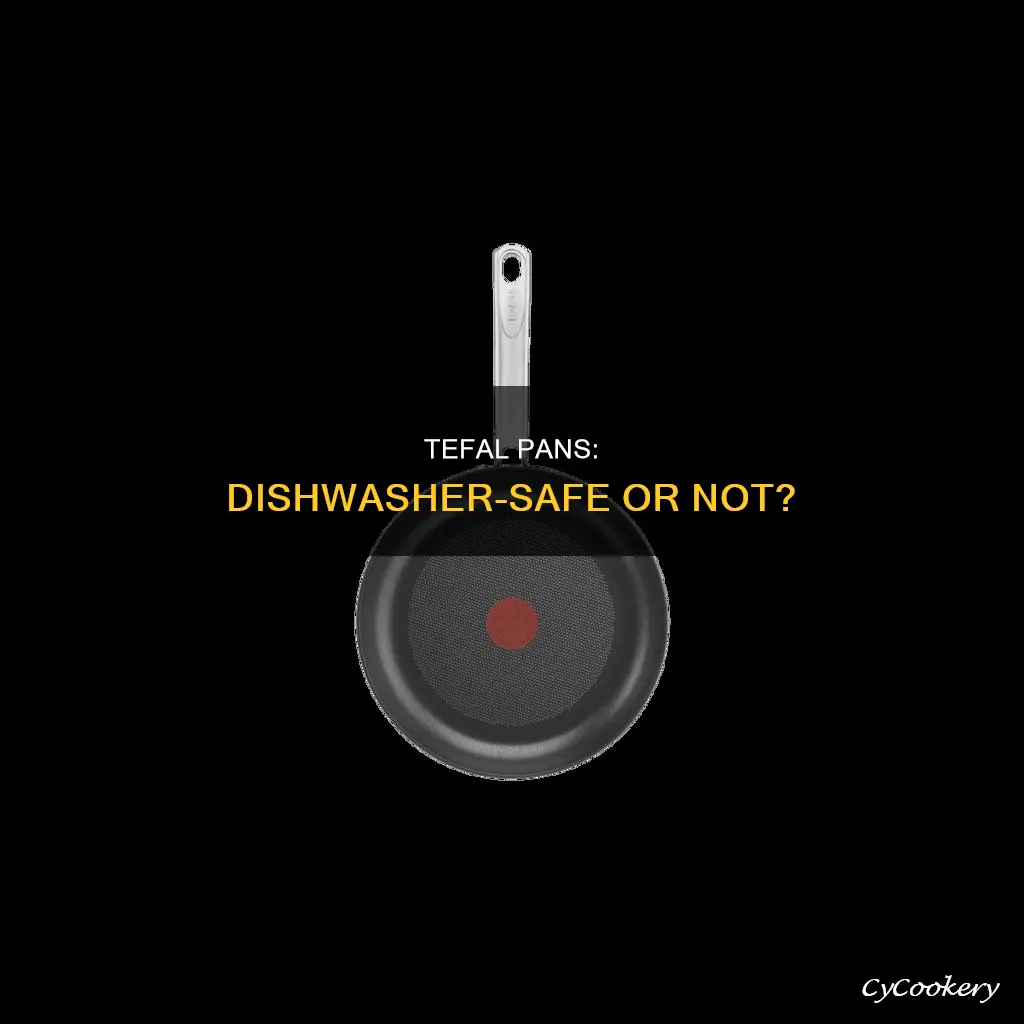 can I put tefal pan in the dishwasher
