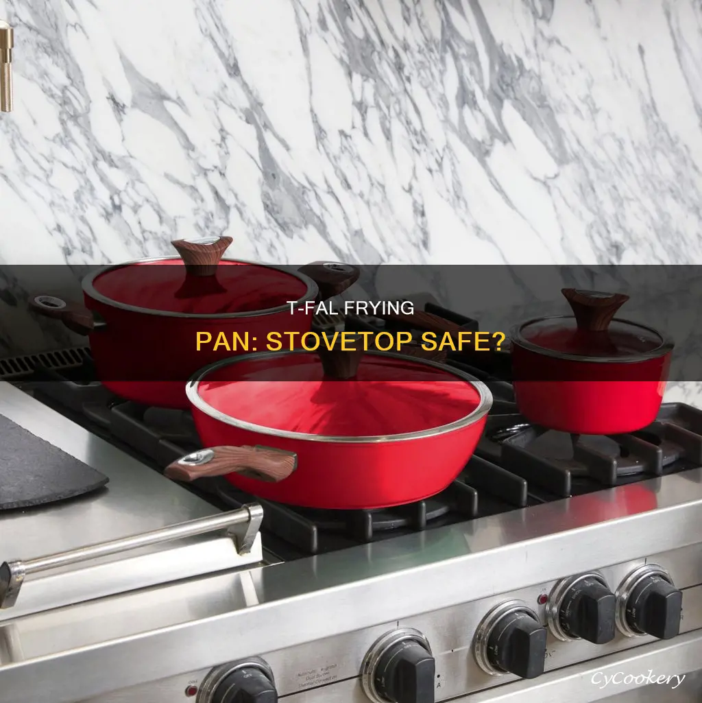 can I put tfal frying pan in stove