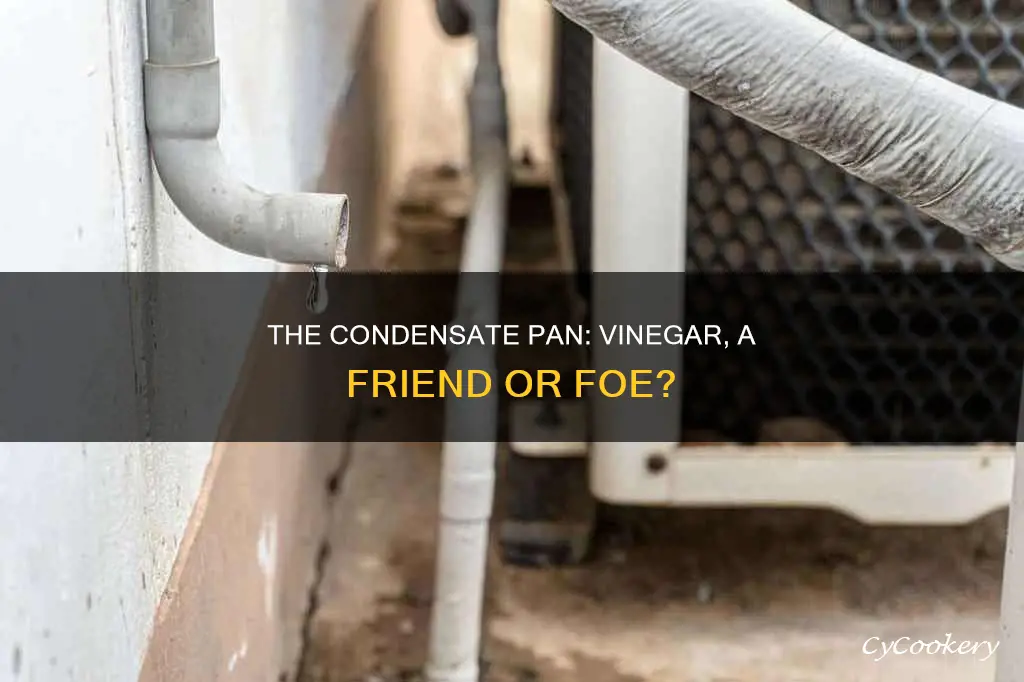 can I put vinergar in the condensate pan