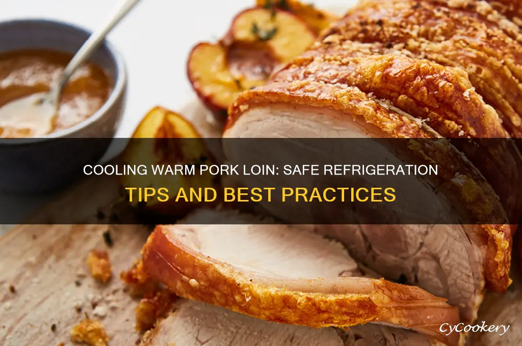 can i put warm pork loin in the refrigerator
