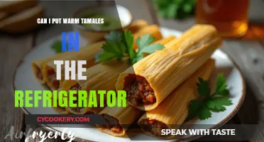 Cooling Warm Tamales: Safe Refrigeration Tips for Freshness and Flavor