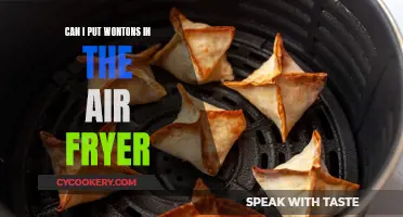 Air-Fryer Wontons: A Healthy, Crunchy Treat?