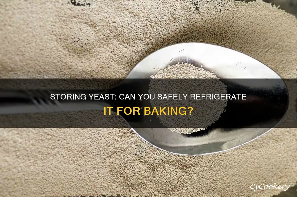 can i put yeast in the refrigerator
