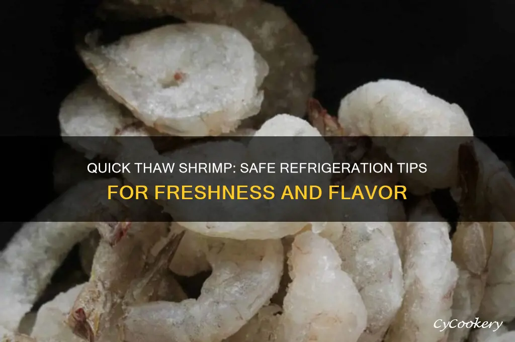 can i quick thaw shrimp then refrigerate