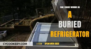 Buried Refrigerator Worm Farming: A Unique Composting Solution for Your Garden