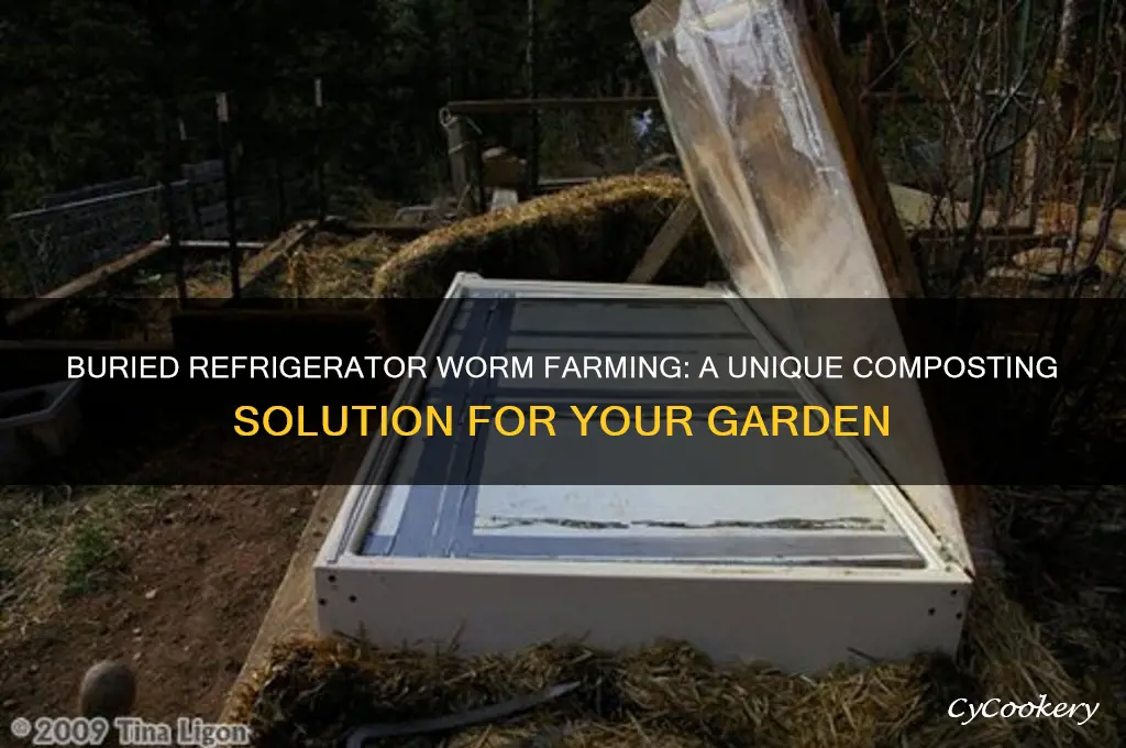 can i raise worms in a buried refrigerator