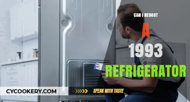Reviving a 1993 Fridge: Can You Reboot an Old Refrigerator?