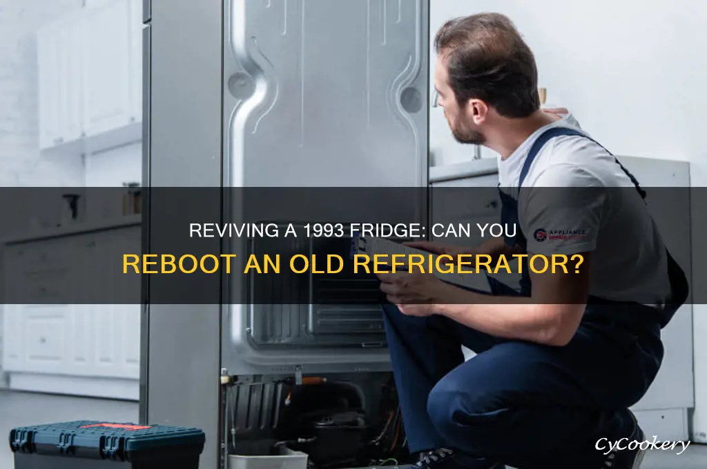 can i reboot a 1993 refrigerator