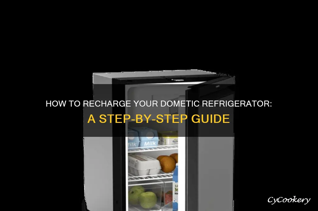 can i recharge my dometic refrigerator