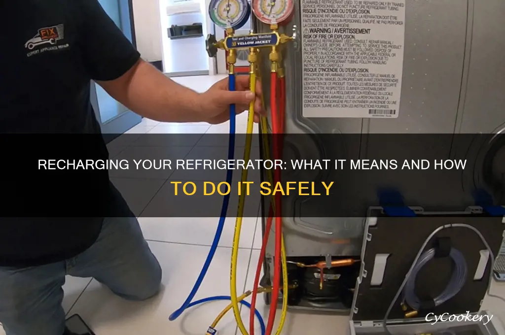 can i recharge my refrigerator