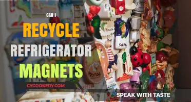 Recycling Refrigerator Magnets: Eco-Friendly Tips for Reuse and Disposal