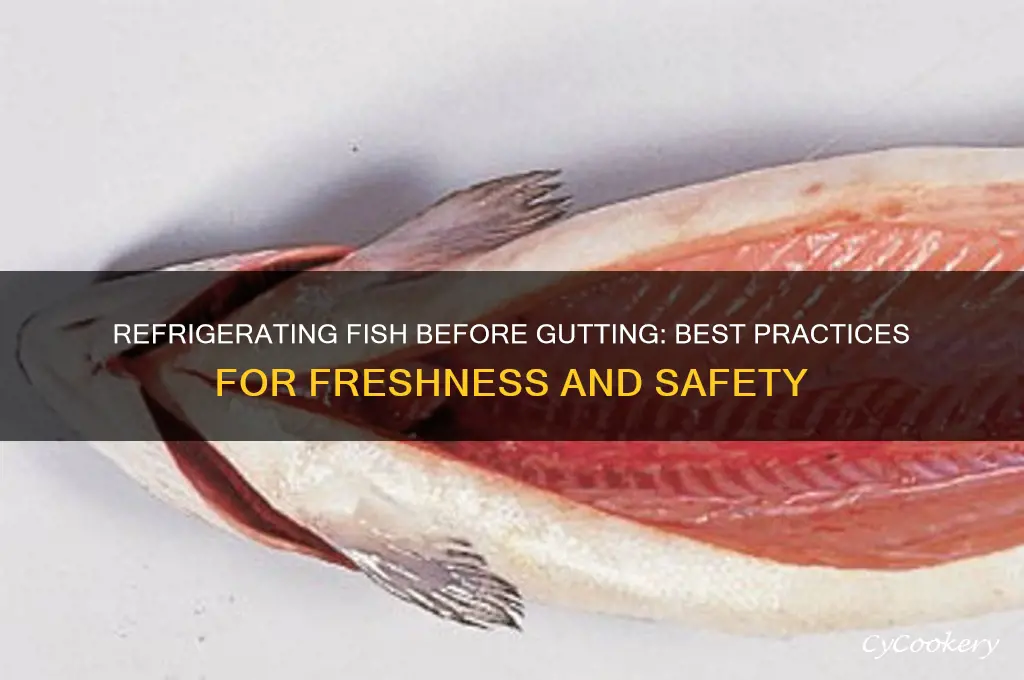 can i refrigerate a fish before gutting it