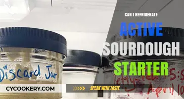 Refrigerating Active Sourdough Starter: Best Practices for Longevity and Care