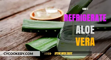 Refrigerating Aloe Vera: Benefits, Storage Tips, and Best Practices