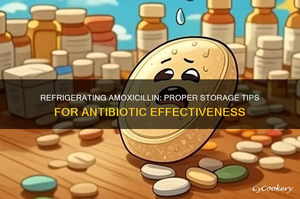 can i refrigerate amoxicillin