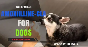 Refrigerating Amoxicillin-Clavulanate for Dogs: Safety and Storage Tips