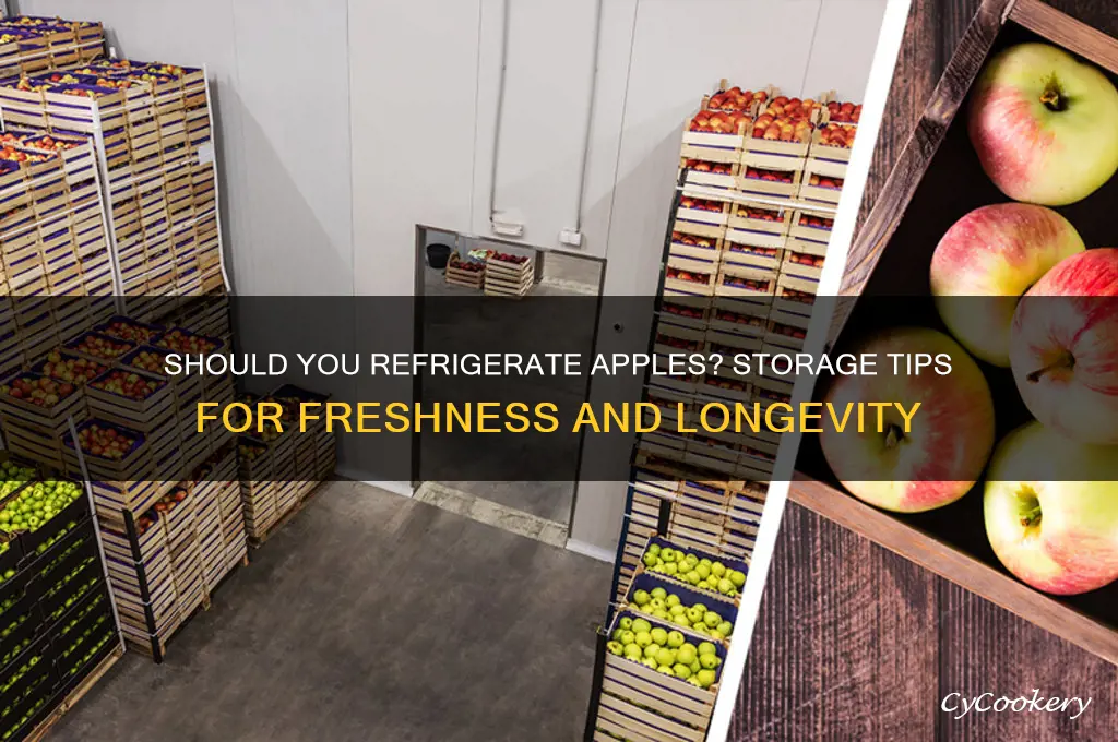 can i refrigerate apples