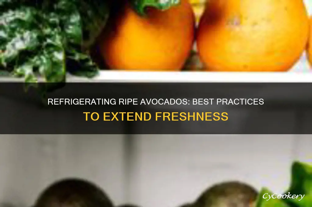 can i refrigerate avacodos after they are ripe