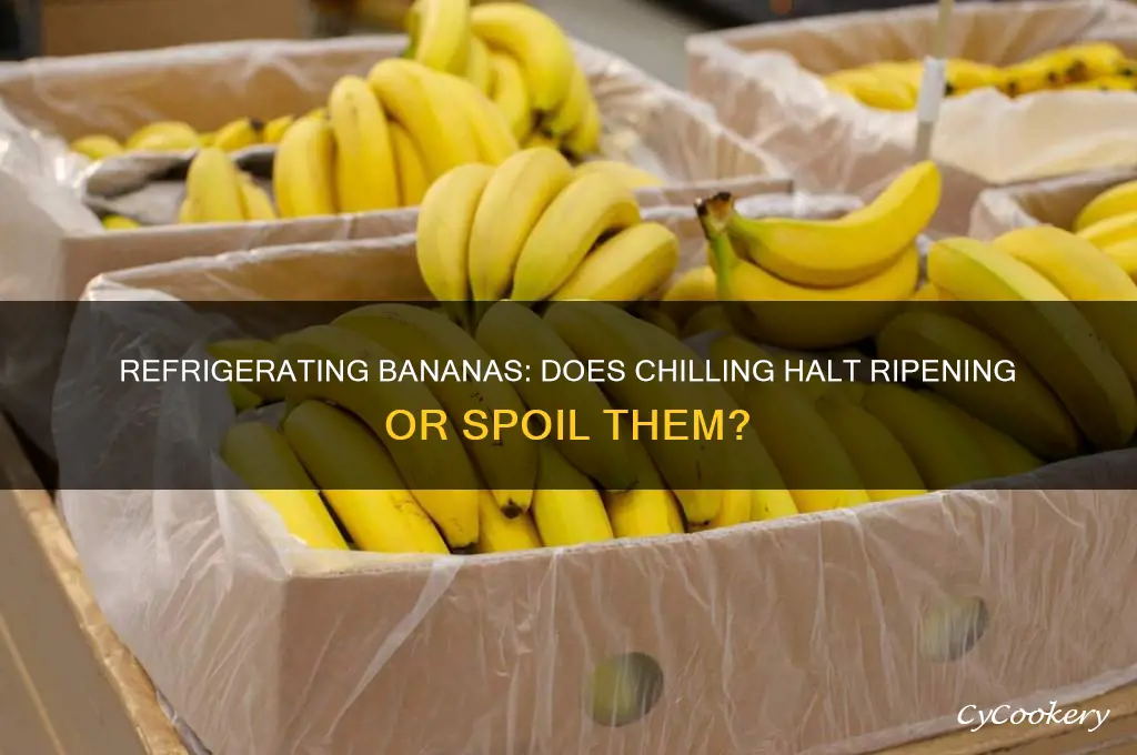 can i refrigerate bananas to stop ripening