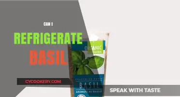 Refrigerating Basil: Best Practices to Keep It Fresh Longer