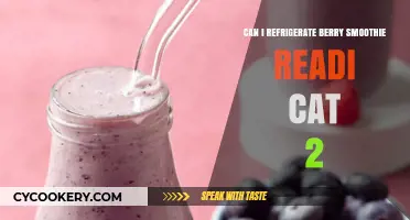 Refrigerating Berry Smoothie Readicat 2: Tips for Freshness and Storage