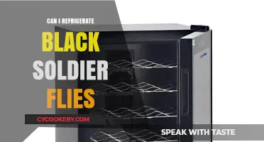 Refrigerating Black Soldier Flies: A Guide to Proper Storage and Care