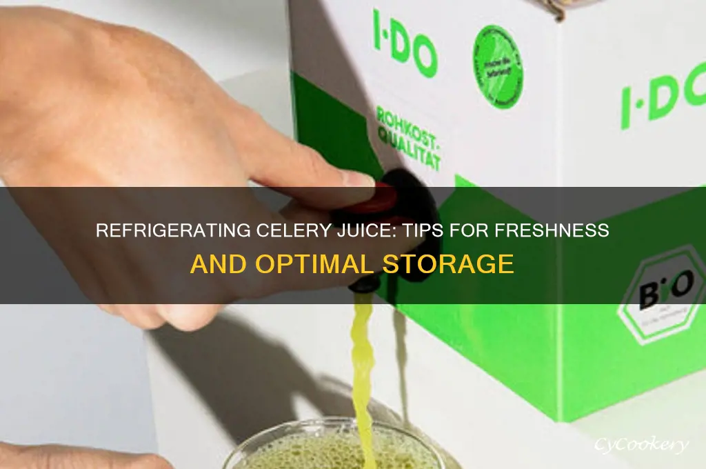 can i refrigerate celery juice