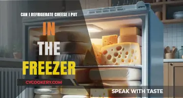 Refrigerating Frozen Cheese: Safe Practices and Tips for Quality Preservation