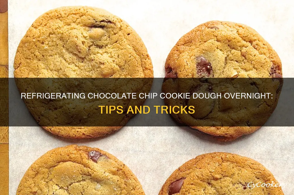 can i refrigerate chocolate chip cookie dough overnight