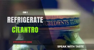 Refrigerating Cilantro: Best Practices to Keep It Fresh Longer