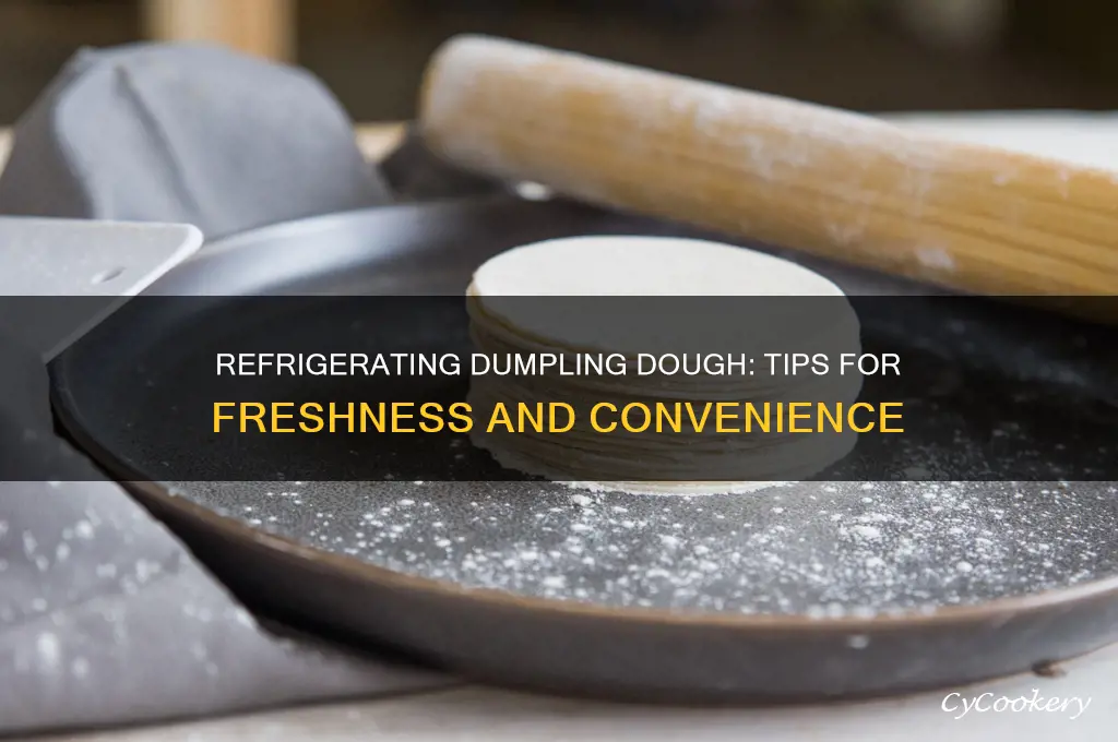 can i refrigerate dumpling dough
