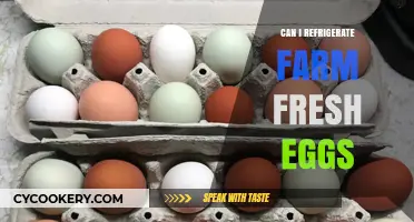 Refrigerating Farm Fresh Eggs: Best Practices for Storage and Safety