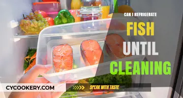 Refrigerating Fish Before Cleaning: Safe Practices and Tips for Freshness