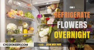 Refrigerating Flowers Overnight: A Guide to Preserving Freshness and Beauty