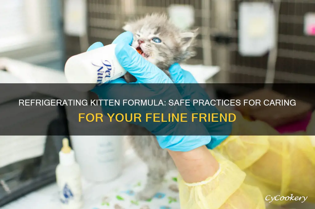 can i refrigerate kitten formula