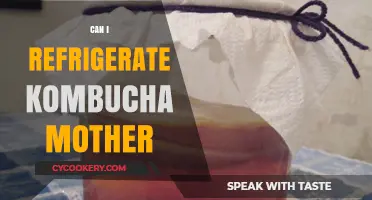 Refrigerating Kombucha Mother: Best Practices for Storage and Care
