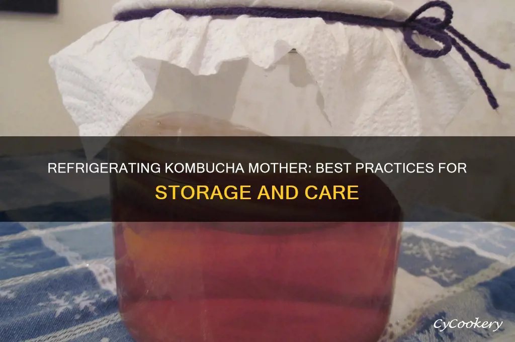 can i refrigerate kombucha mother