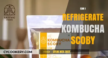 Refrigerating Kombucha SCOBY: Best Practices for Storage and Care