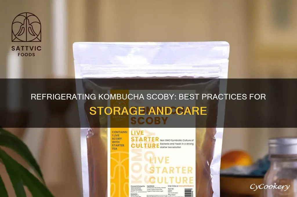 can i refrigerate kombucha scoby