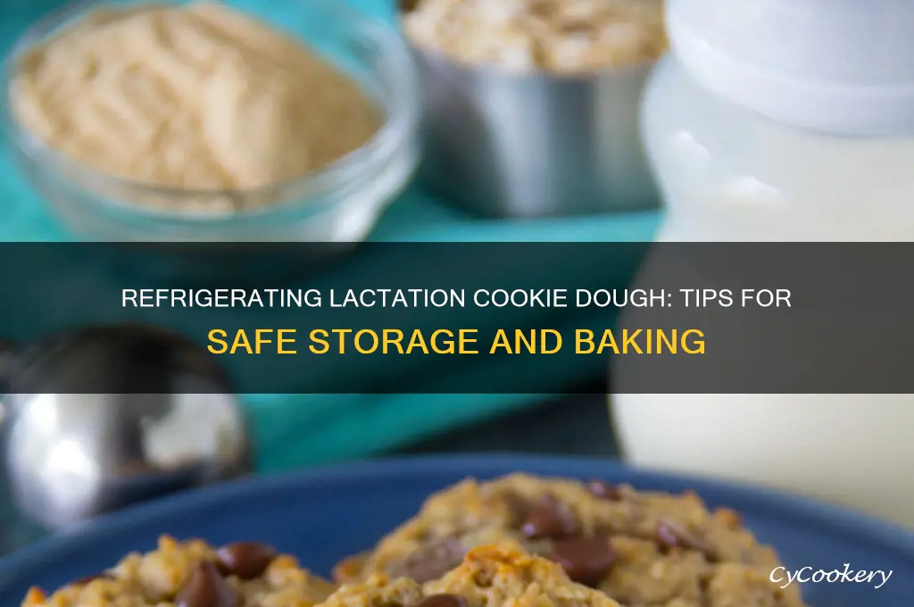 can i refrigerate lactation cookie dough